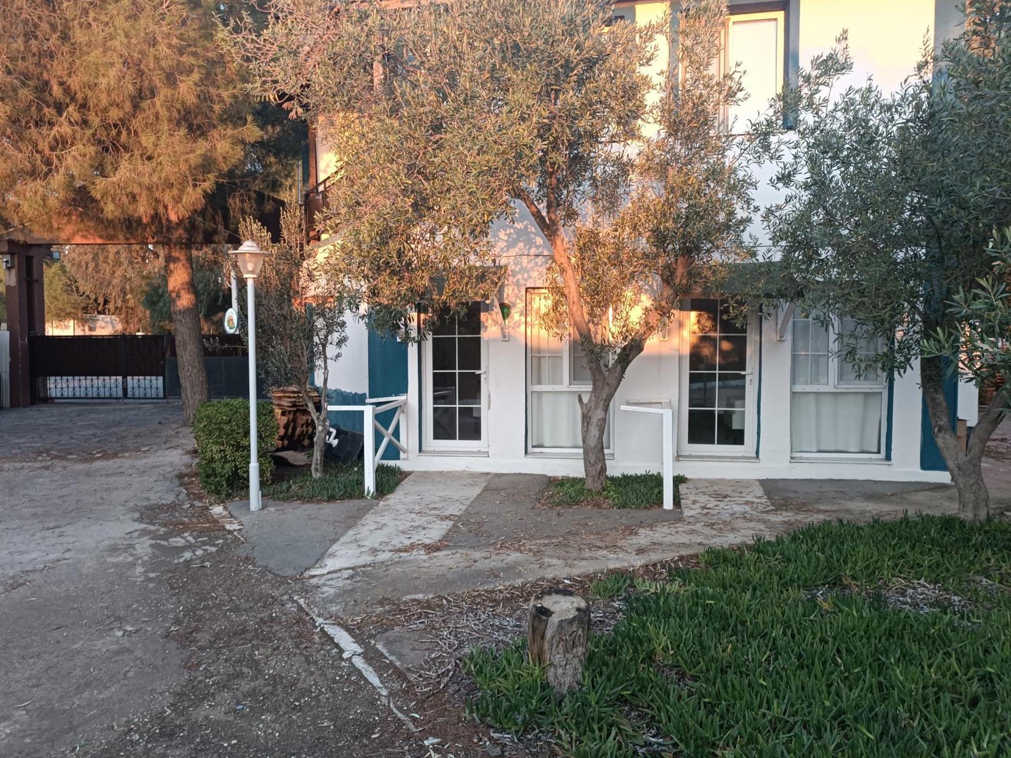 Teos Ormanci Tatil Koyu Hotel Seferihisar Bagian luar foto