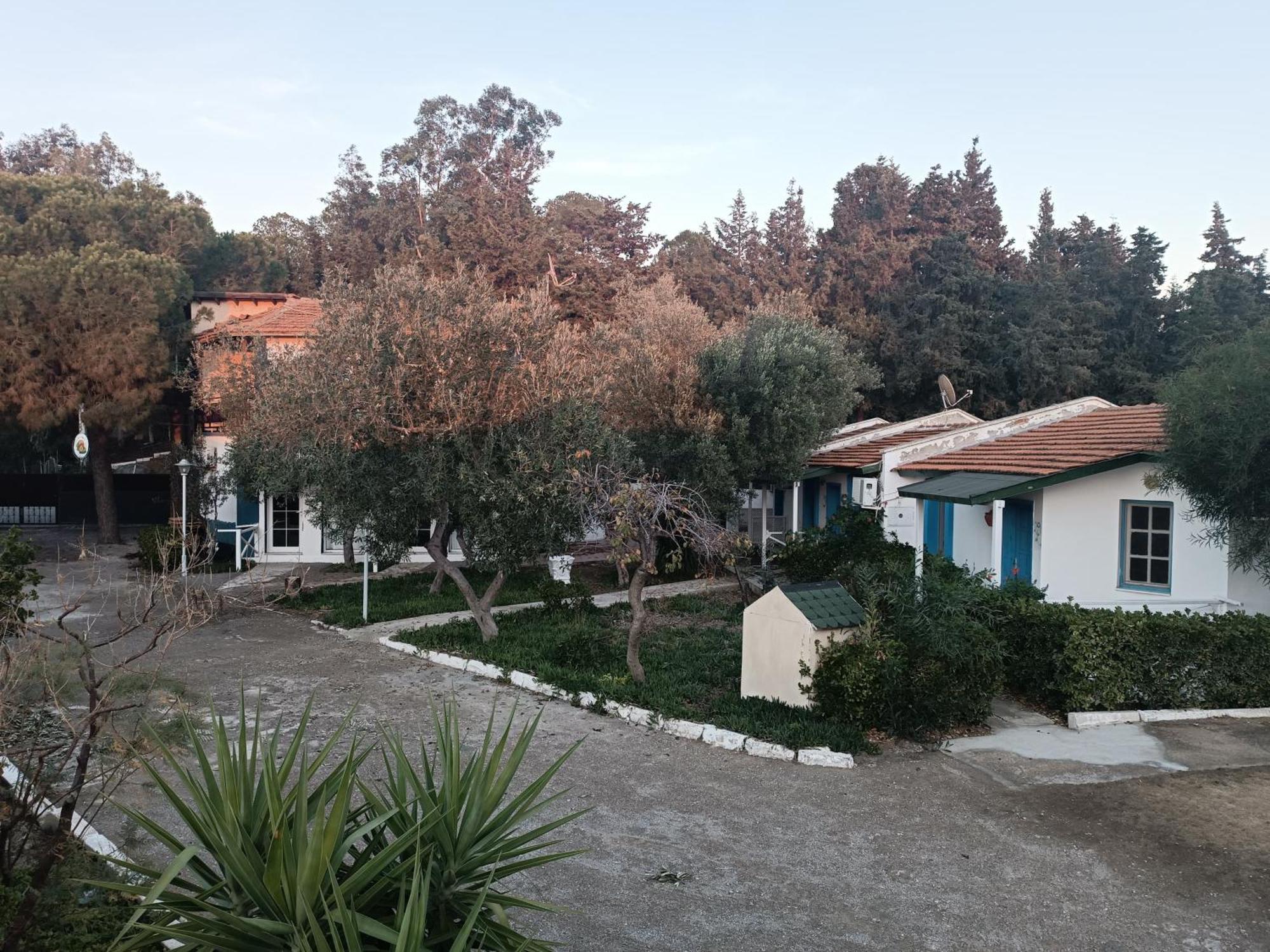 Teos Ormanci Tatil Koyu Hotel Seferihisar Bagian luar foto