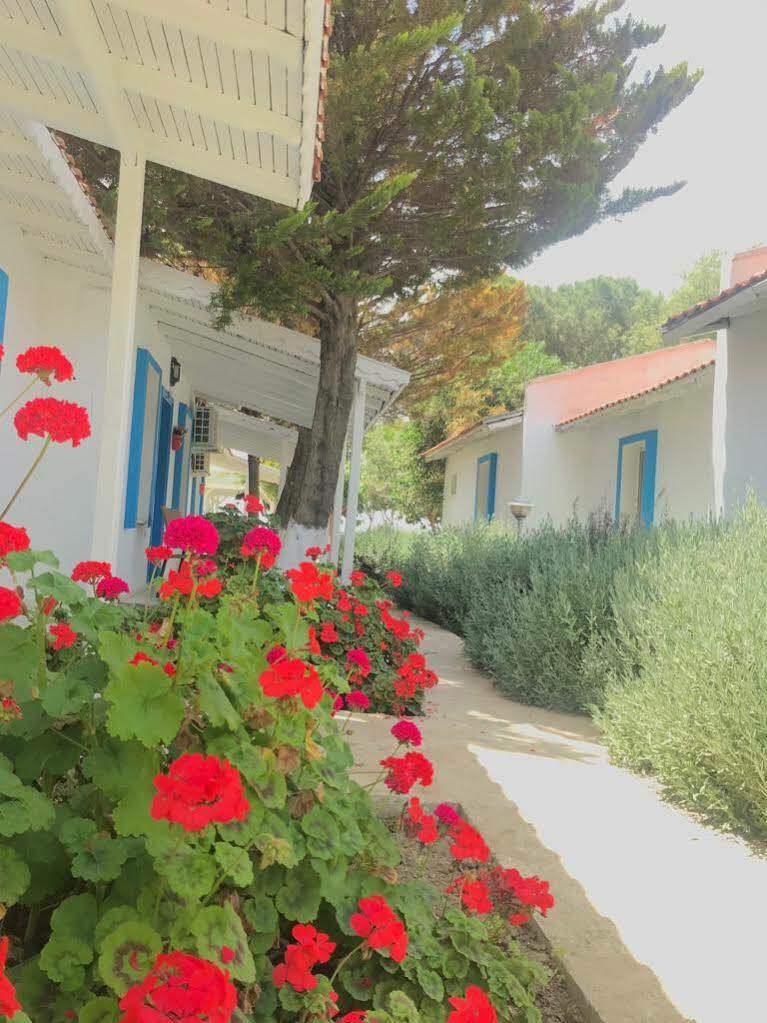 Teos Ormanci Tatil Koyu Hotel Seferihisar Bagian luar foto